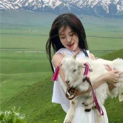蛊惑仔与大滚王