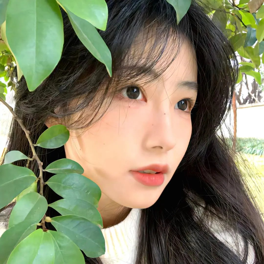 人来客往