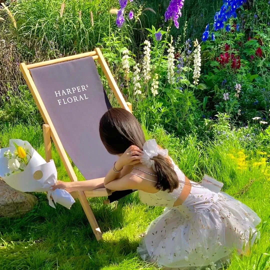 模糊乐队:直到尽头